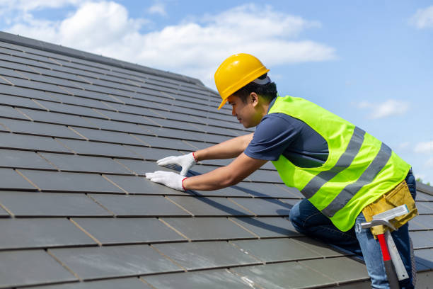 Best Roofing for New Construction  in Zebulon, NC