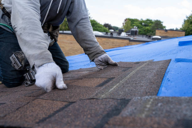 Best Roof Insulation Installation  in Zebulon, NC