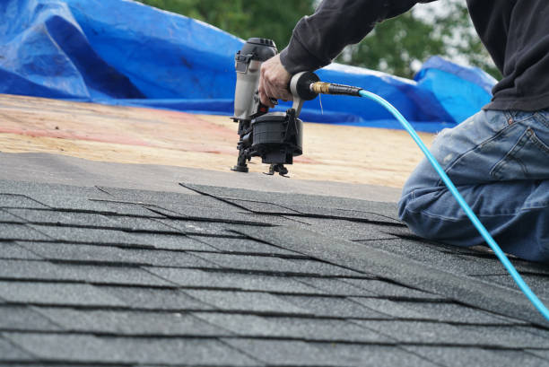 Best Roof Ventilation Installation  in Zebulon, NC