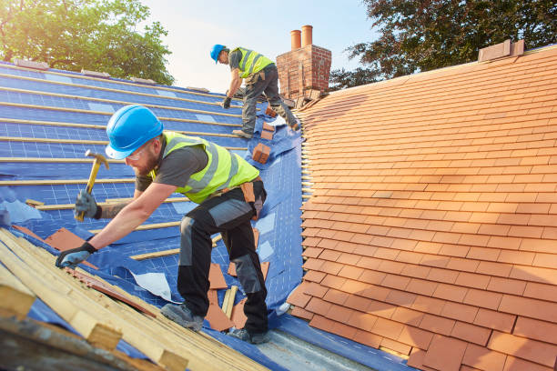 Best Roof Moss and Algae Removal  in Zebulon, NC